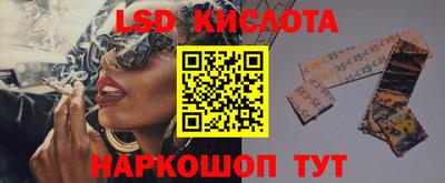 гидра Кандалакша