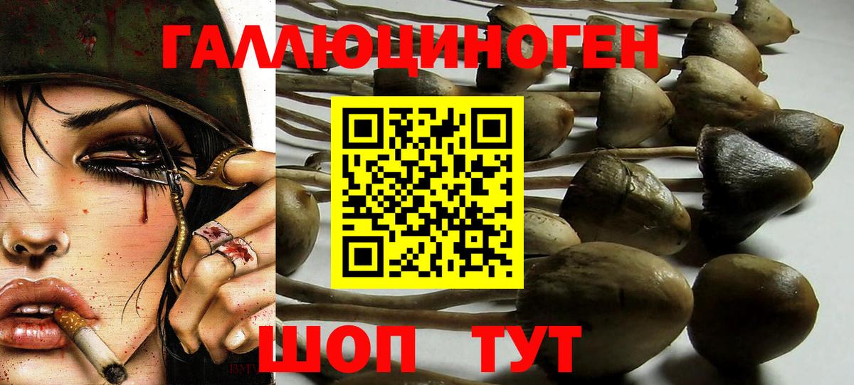 Псилоцибиновые грибы прущие грибы Ярославль