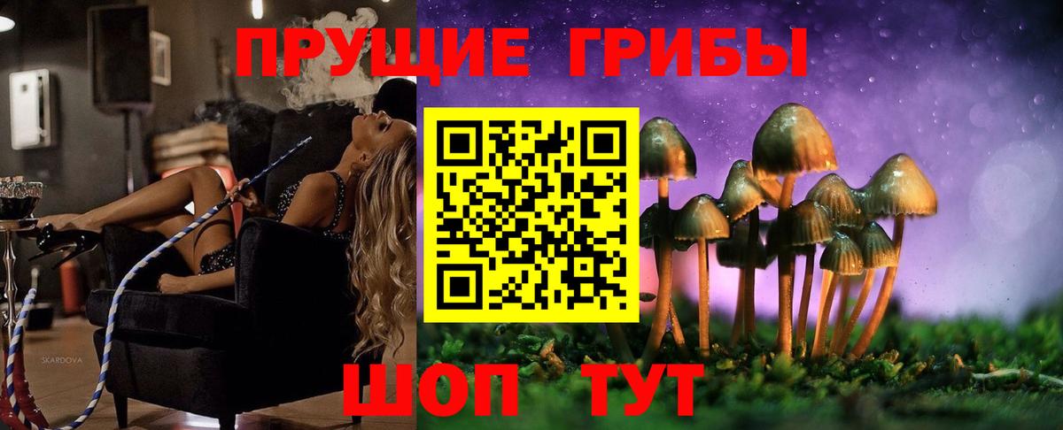 Ярославль  Галлюциногенные грибы Cubensis  Псилоцибиновые грибы мухоморы  Вход с VPN 