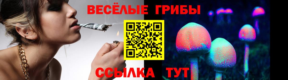 Кодеин Ярославль